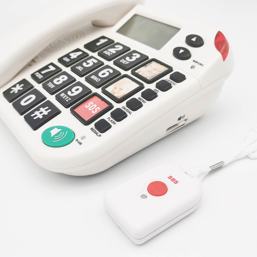 Elderly care assistance in home